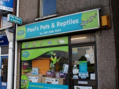 Paul's pets & reptiles
